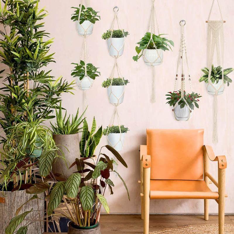 Boho Macrame Plant Hangers - Set Of Five media 3