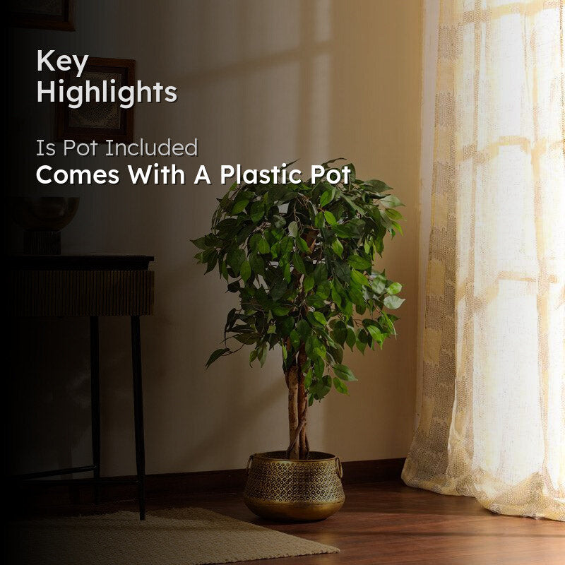 Artificial Realistic Ficus Plant With Black Plastic Pot - 3.9 Feet image 2