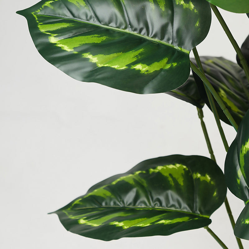 Faux Everlasting Micans Philodendron Plant With Black Plastic Pot - 74 cm (2.4 ft) media 6