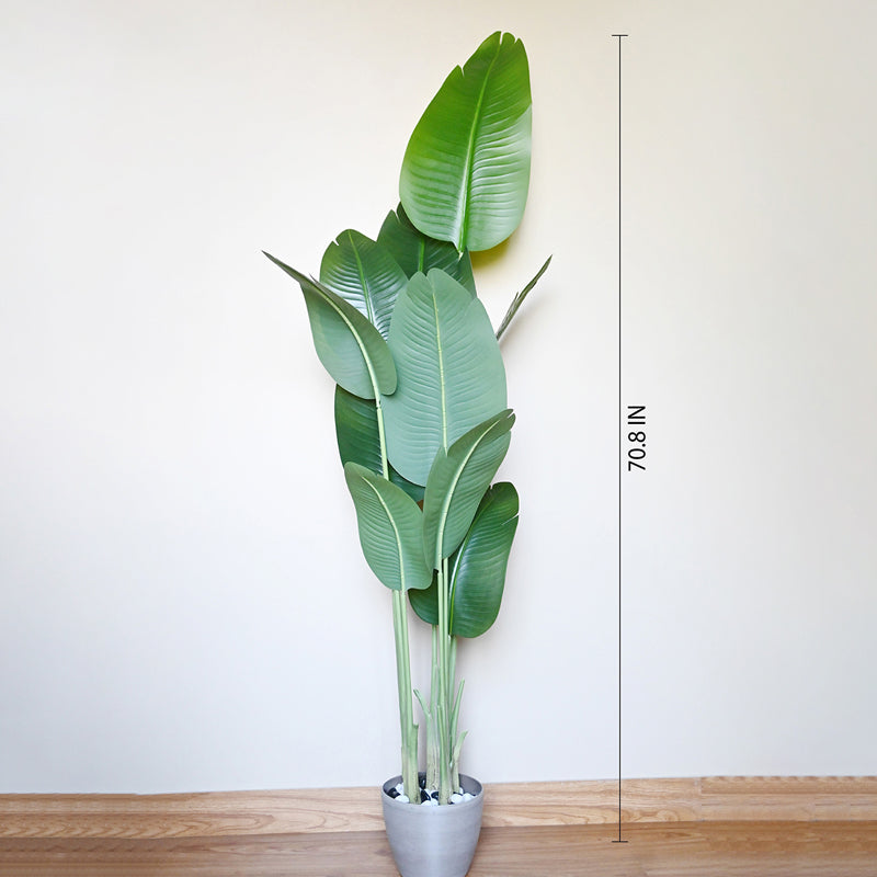 Tropibana Artificial Bird Of Paradise Plant With Black Plastic  Pot - 180 cm (6 ft) media 9