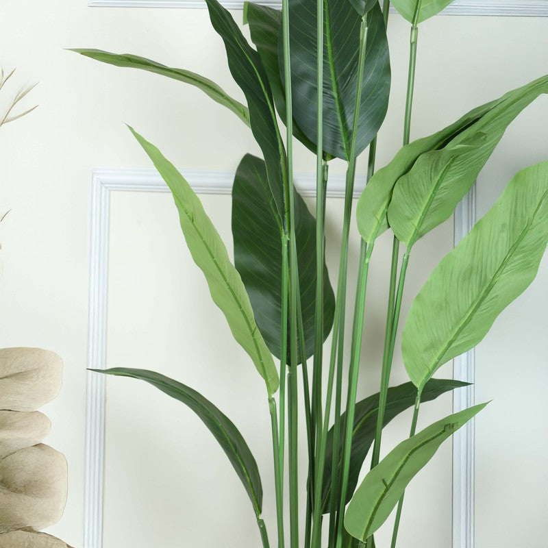 Artificial Strelitzia Plant With Black Fiber Pot - 5.2 Feet media 5