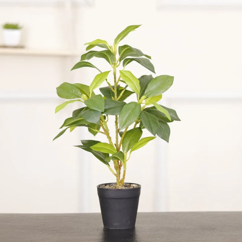 Artificial Croton Leaf Plant With Black Fiber Pot (Green) - 1.3 Feet media 3