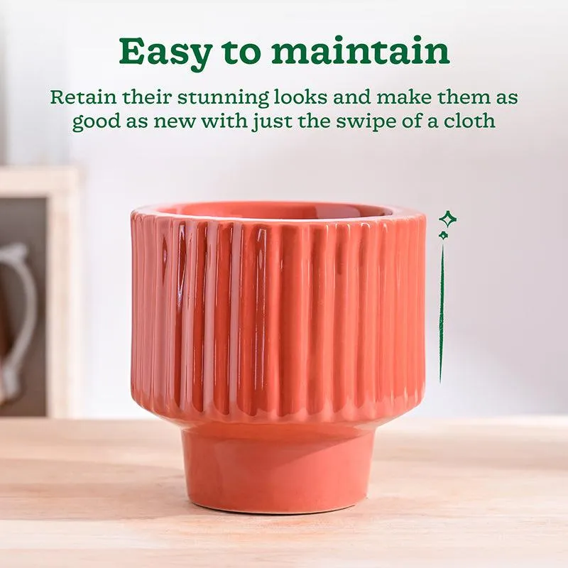 Ugaoo Classic Stria Ceramic Planter - Coral media 4
