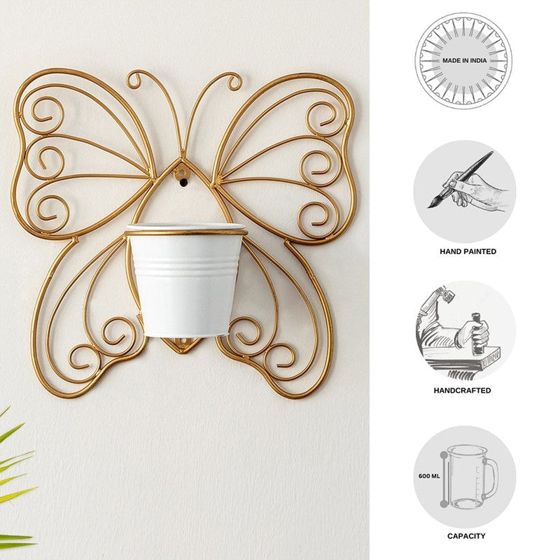Titli Ima Wall Planter media 3