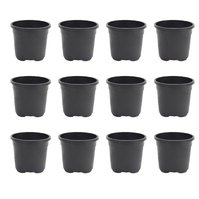 Ugaoo Garden Brown Plastic Pot (9.9 CM) - Set Of Twelve media 4