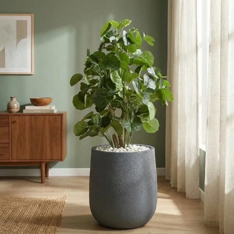 Large grey floor planter holding a leafy plant in a living room