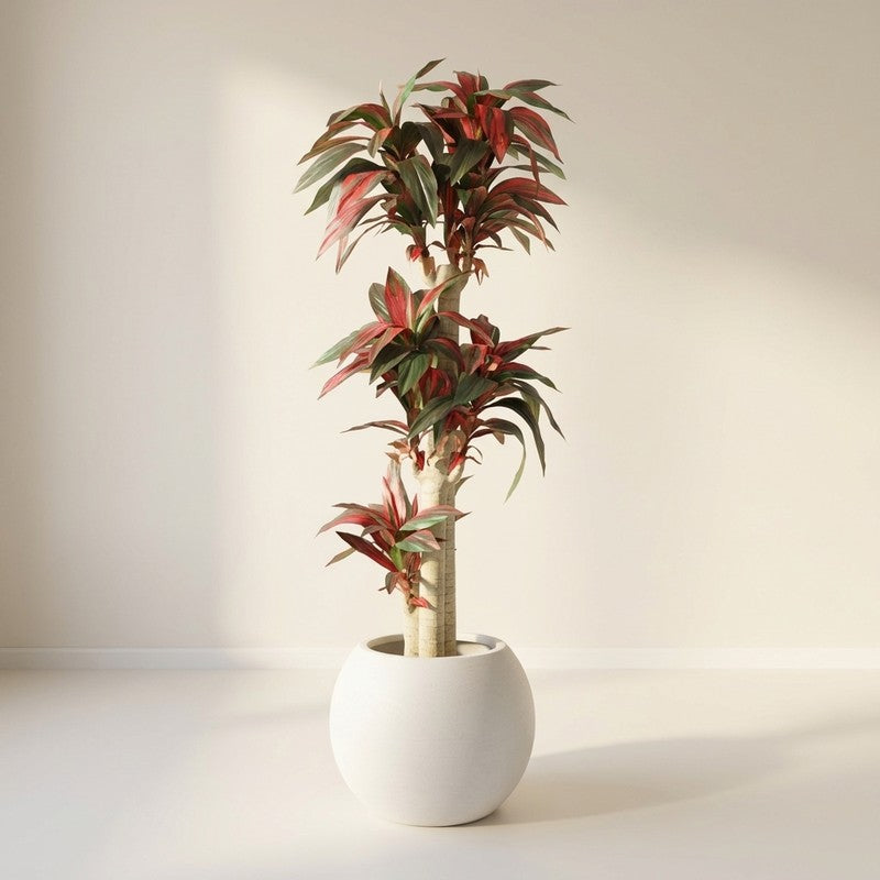 EarthTone Artificial Plant With Black Plastic Pot - 5.7 ft