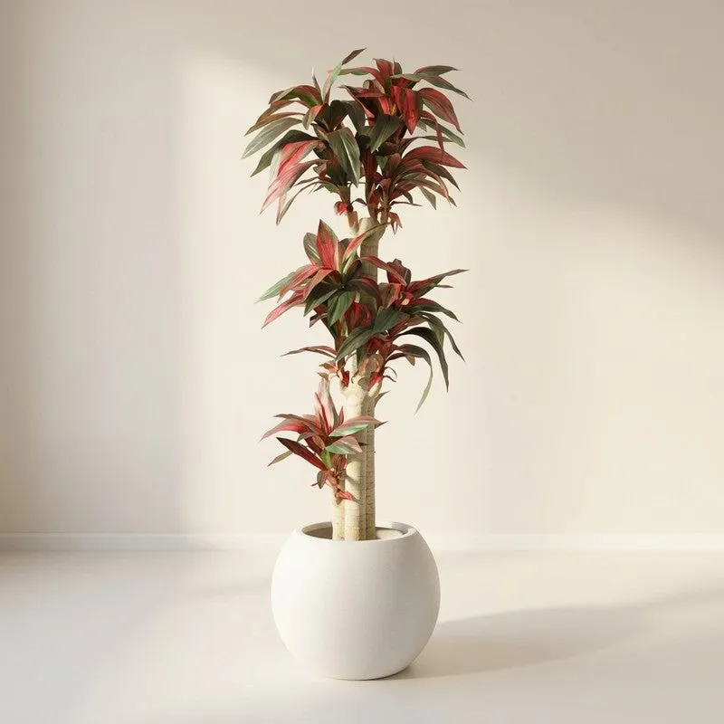 EarthTone Artificial Plant With Black Plastic Pot - 5.7 ft media 1