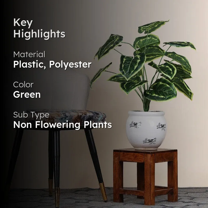 Faux Daisy Money Plant - 2 Feet media 2