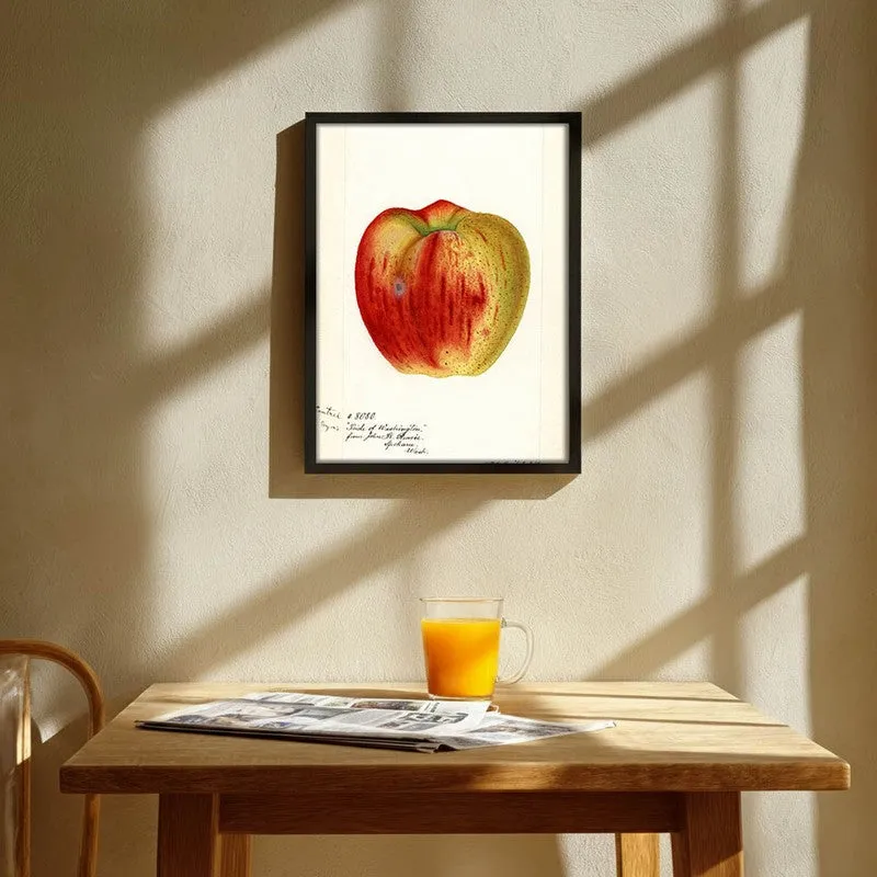 AppleHue Archival Canvas Wall Art - Black media 1