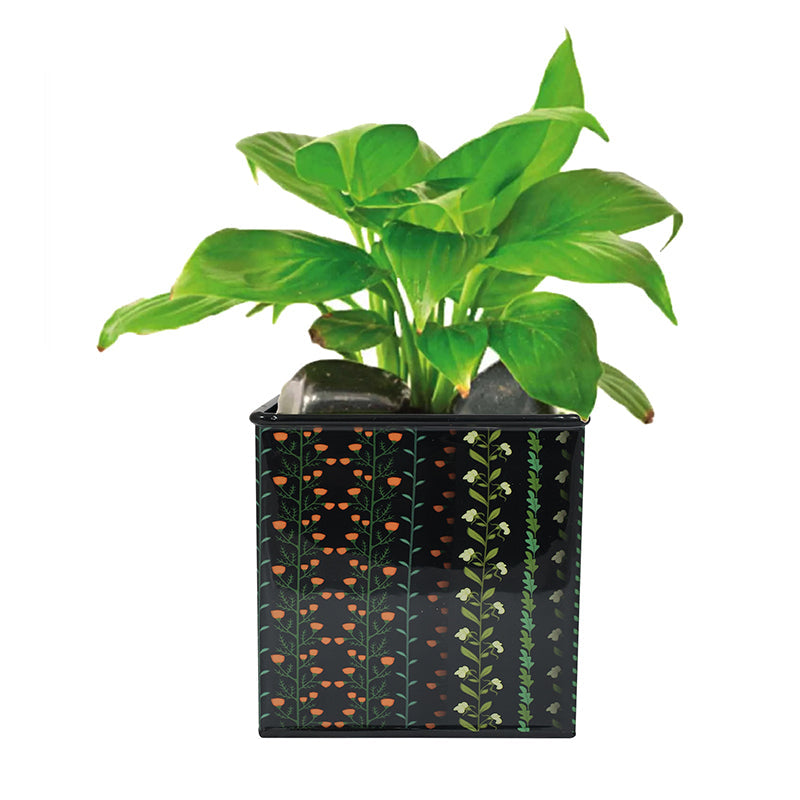 Rootin Metal Planter media 6
