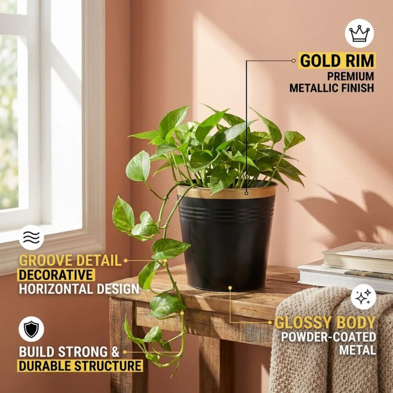 Leafora Iron Planter - Black media 8