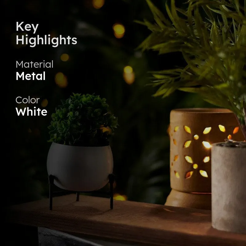 Eukene Metal Planter - White media 2