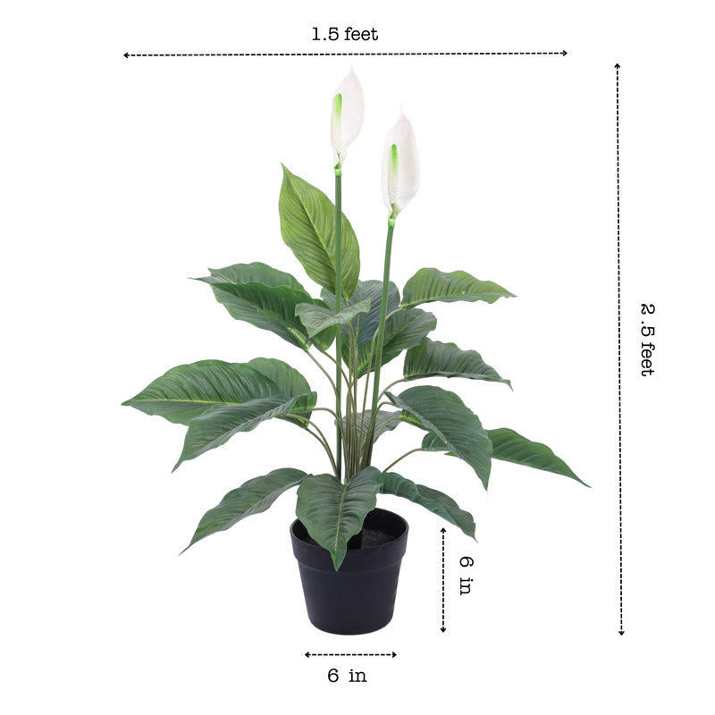 Artificial Realistic Peace Lily Plant With Black Plastic Pot - 2.5 Feet media 7