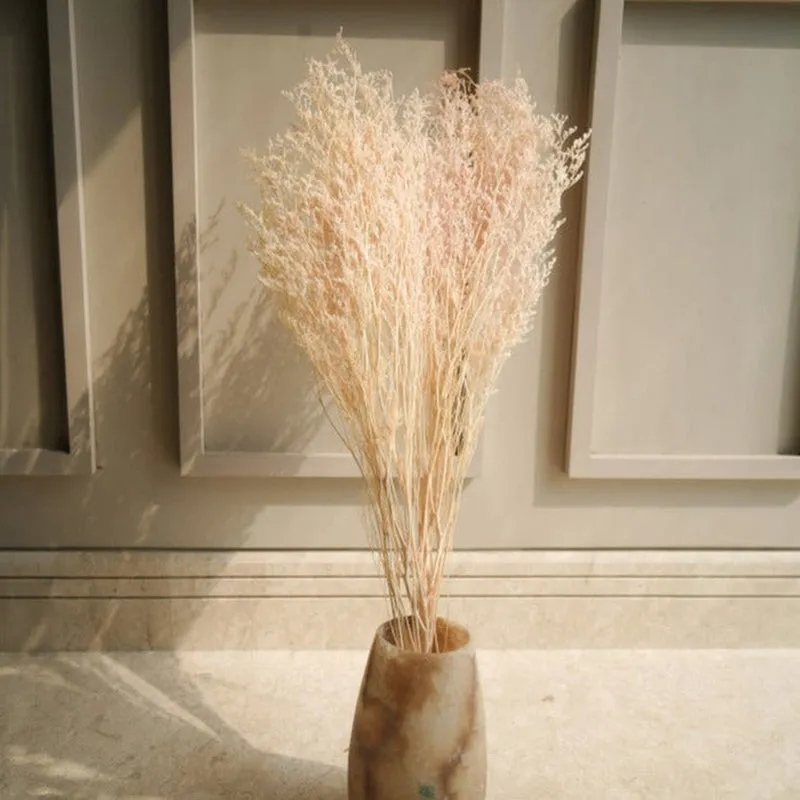 Dried Dual Lavender Limonium Stem - Set Of Three media 1