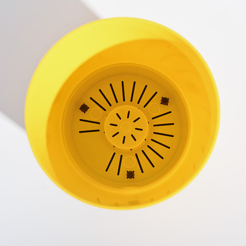 Ugaoo Mossy Bottom Plastic Planter (Yellow) - Set Of Five media 5