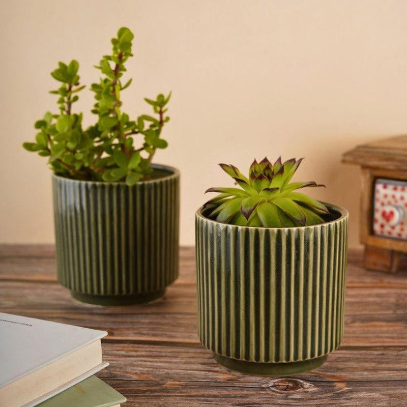 Ahanay Ribbed Planter (Olive Green) -Single Piece media 5