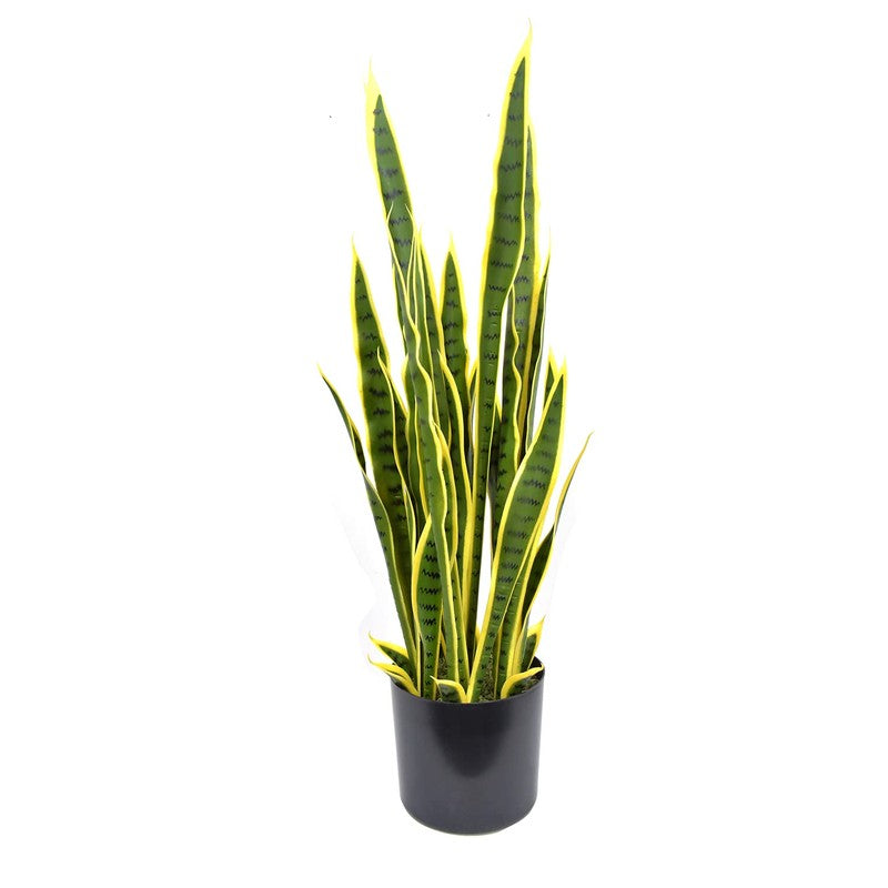 Plantae Artificial Snake Plant With Black Plastic Pot - 3.2 Feet media 6