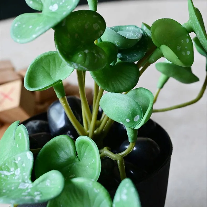Pennelle Artificial Leaf Pennywort With Black Plastic Pot (Green) - 13 cm media 5