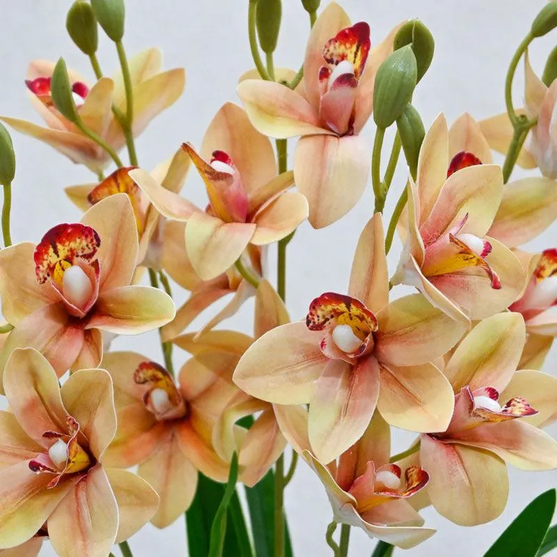 Faux Everlasting Cymbidium Everlasting Orchid Flower Stick - Peach - 3