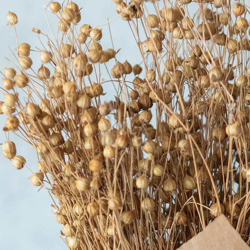 Yinira Naturally Dried Lino Grass media 5