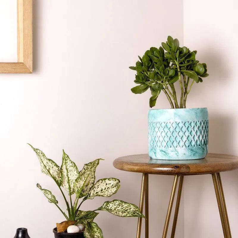 Diemona Planter - Green media 2