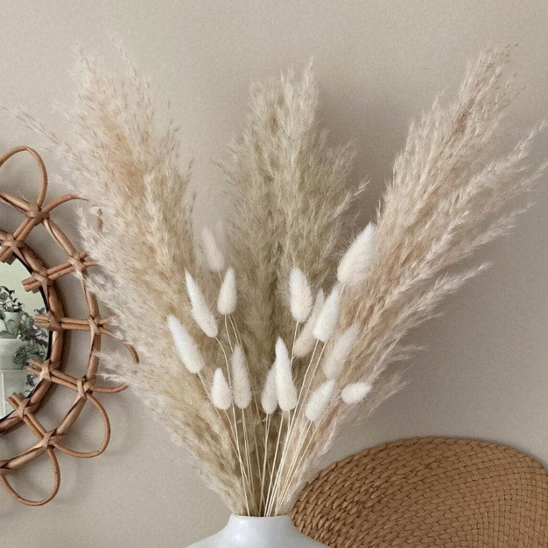 Dried Flowers & Leaves