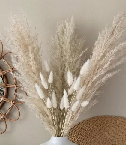 Dried Flowers & Leaves