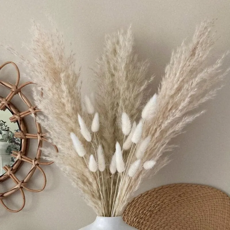 Naturally Dried Pampas And Bunny Tail Flower Bunch - Set Of Fifteen media 1