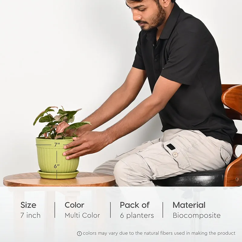 Vita Vessel Planter - Set Of Six media 3