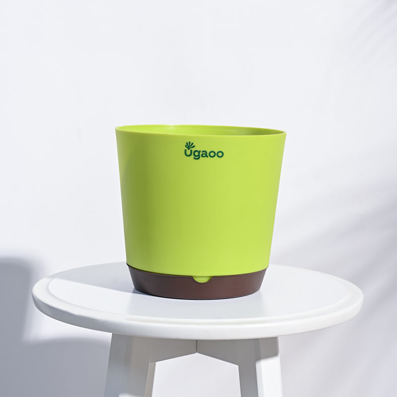 Ugaoo Mossy Bottom Plastic Planter (Green) - Set Of Five media 4
