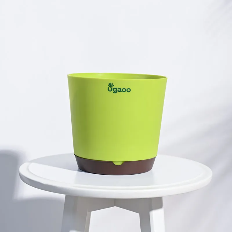 Ugaoo Mossy Bottom Plastic Planter (Green) - Set Of Five media 4