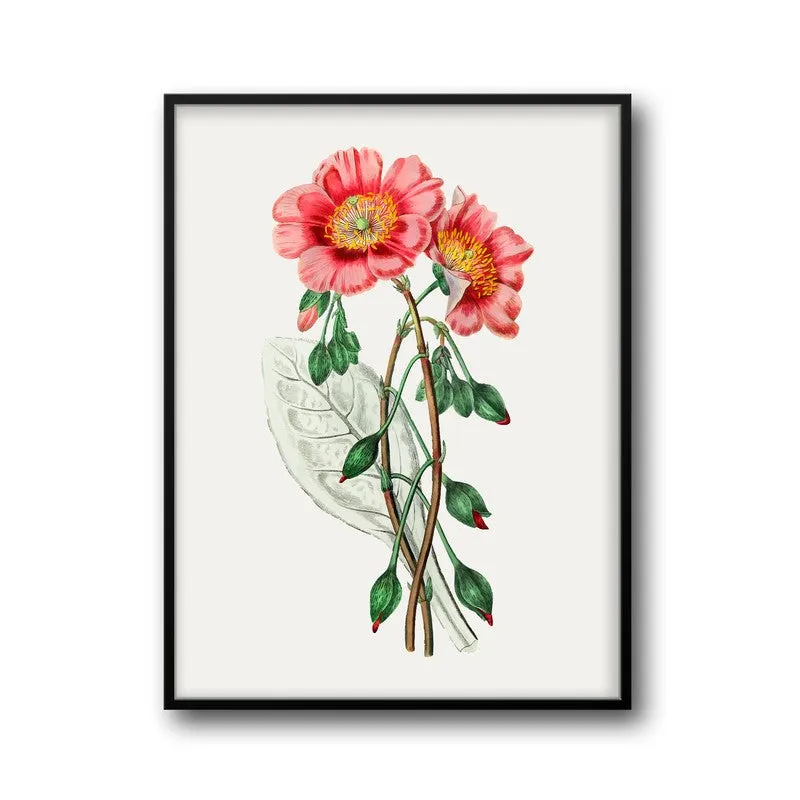 Springs Embrace Archival Paper Wall Art With Frame media 5