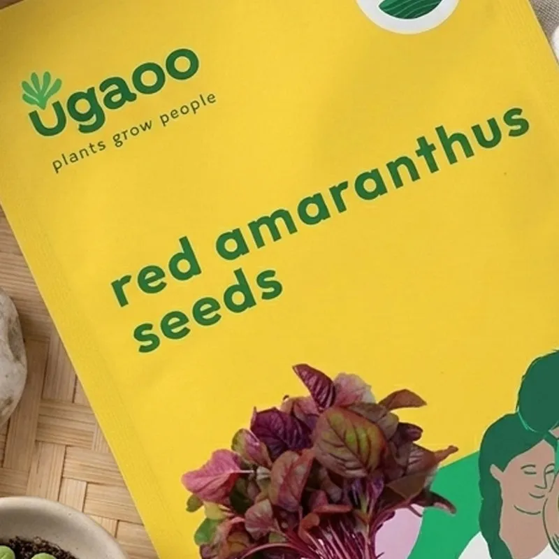 Ugaoo Red Amaranthus Seeds (Red Math) media 3