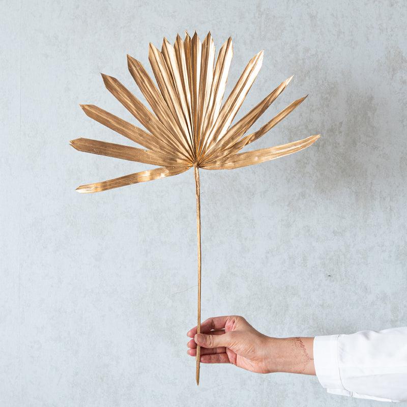 Ineeya Dried Sun Palm Sticks (Gold) - Set Of Three media 3