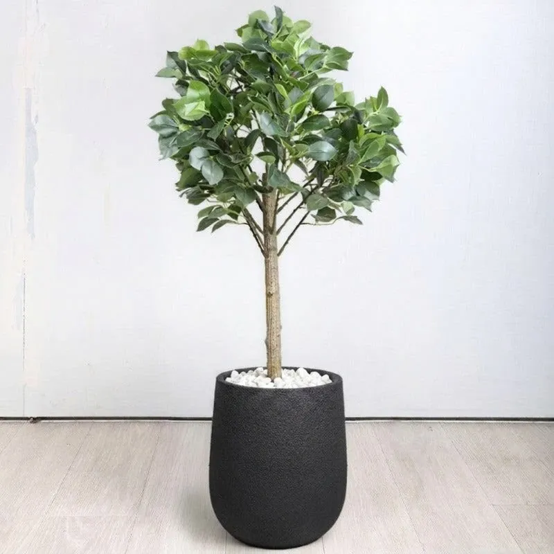 Olivra Floor Planter - Black - 6