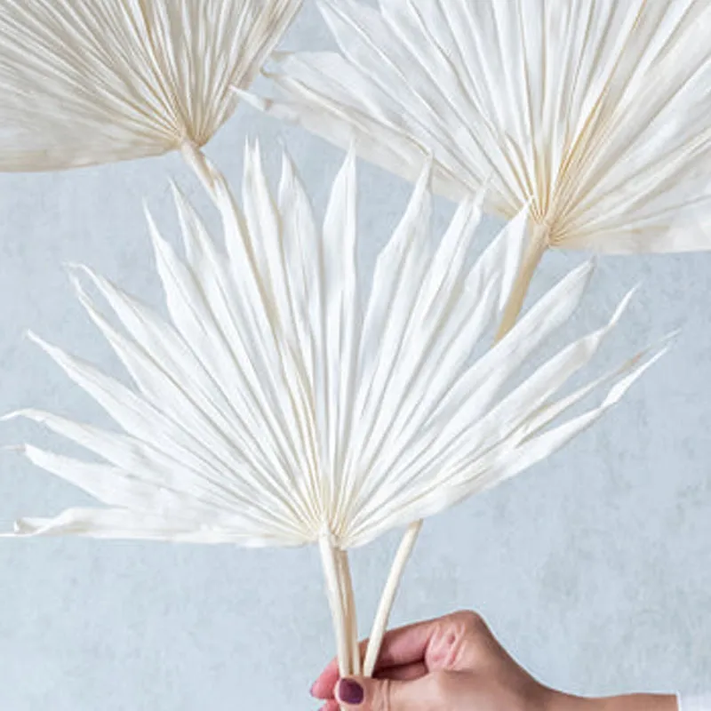 Ineeya Naturally Dried Sun Palm Stick (White) - Set Of Three media 3