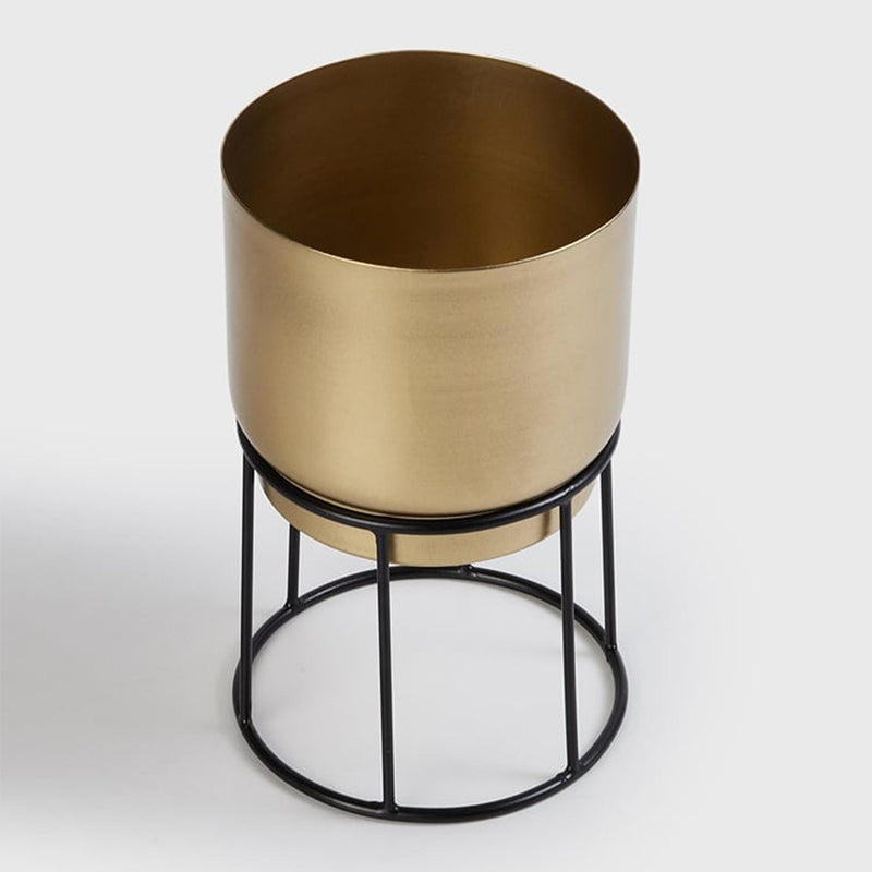 Elsa Gols Planter With Stand media 5