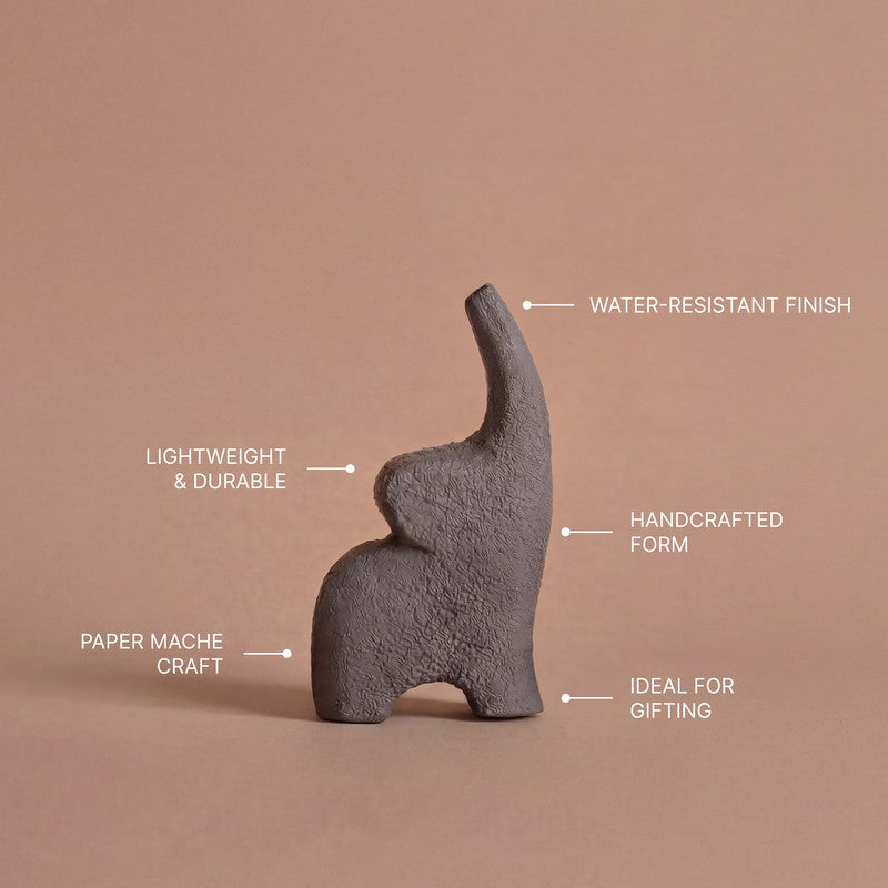 Fig Living Mini Jumbo - Grey media 6