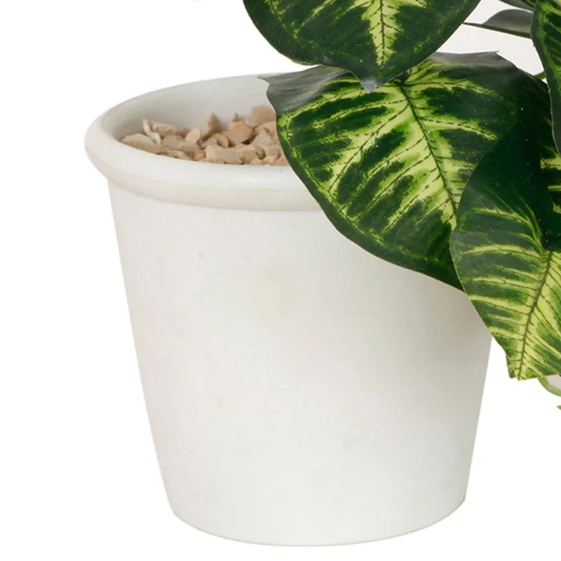 Lirio Artificial Plant With Black Plastic Pot media 3