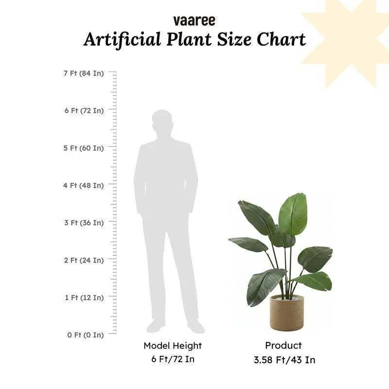 Tropiva Banana Leaf Palm Plant With Black Plastic Pot - 3.6 ft media 6
