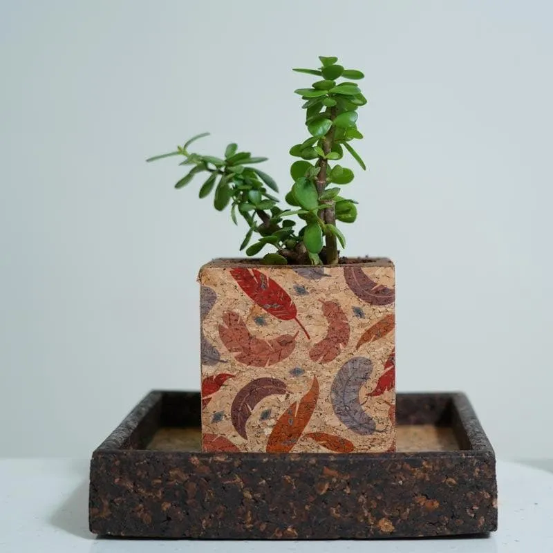 Corky Zen Planter media 5