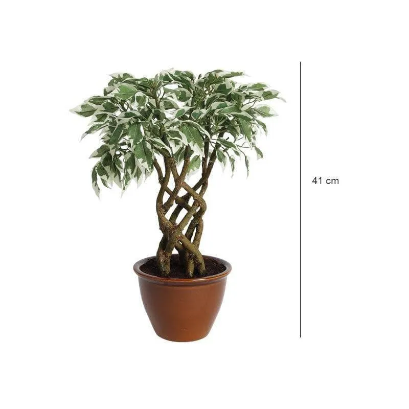Faux Creeper Ficus Bonsai (41 cms) - Green & White media 4