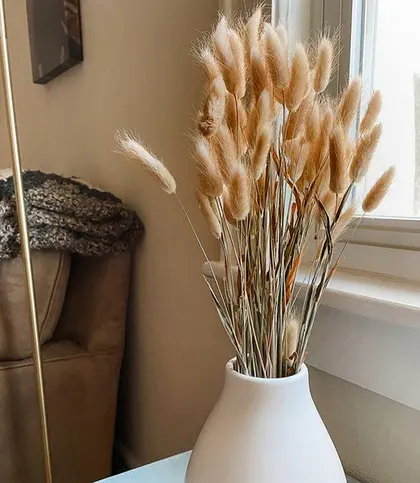 Dried Flowers & Leaves