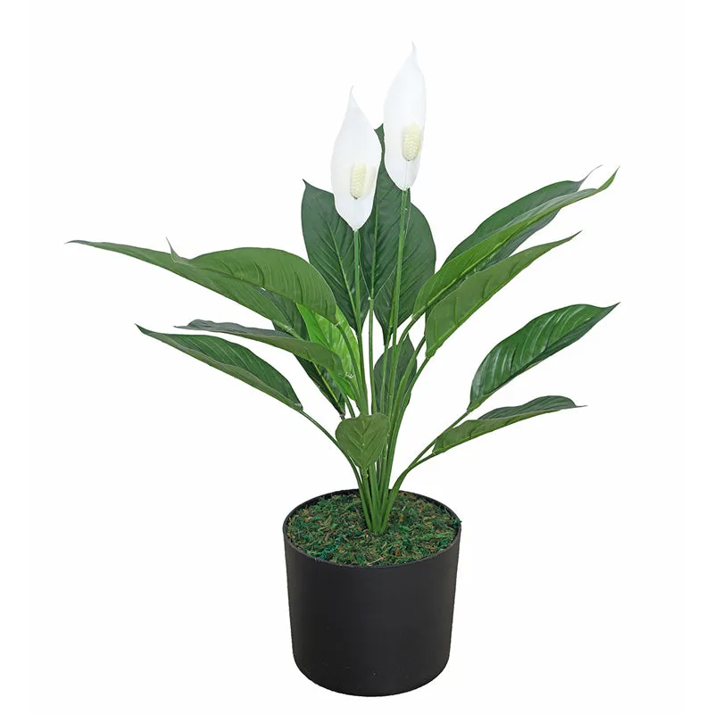 Foliage Flourish Artificial Plant With Black Plastic Pot media 3