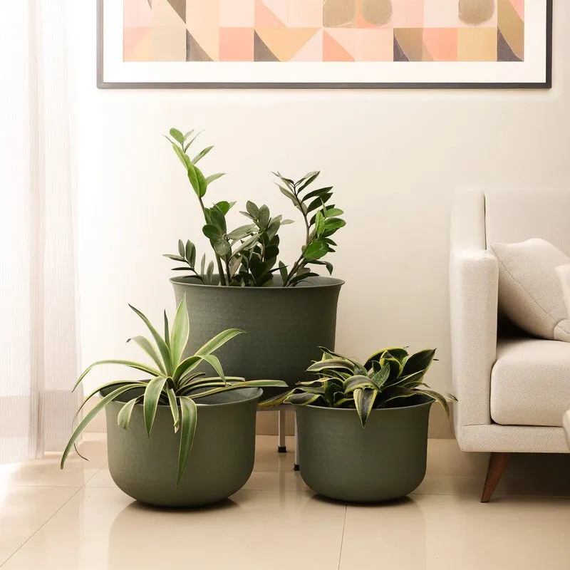 Olive Whisper Iron Planters - Set of Three media 1