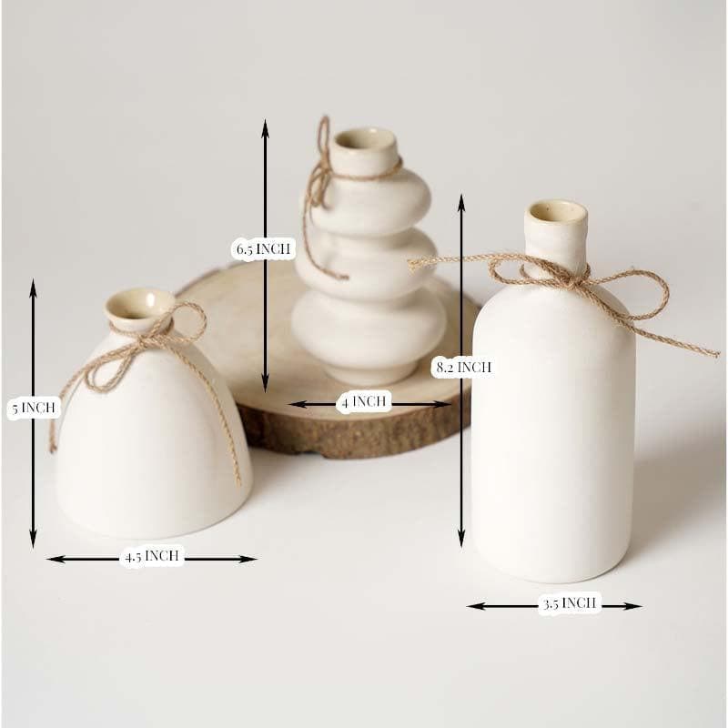 Curvilinear Vases - Set of Three image 5