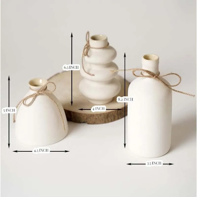 Curvilinear Vases - Set of Three media 5