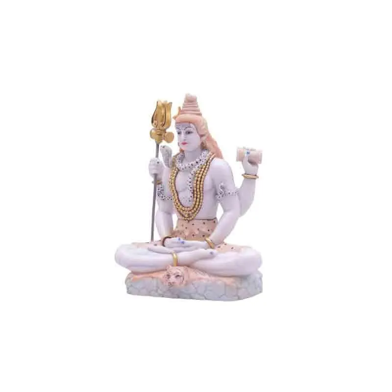 Shiv Shambhu Idol media 3