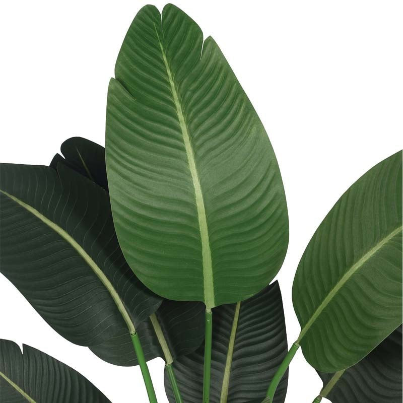 Faux Lush Bird of Paradise Plant With Black Plastic Pot - 4 Feet media 4